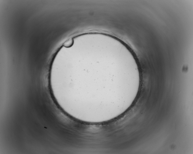 X0000102371504200808291236