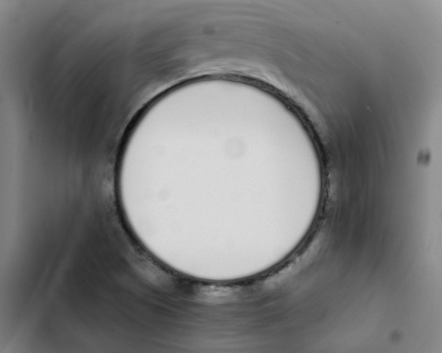 X0000102371505200808291236