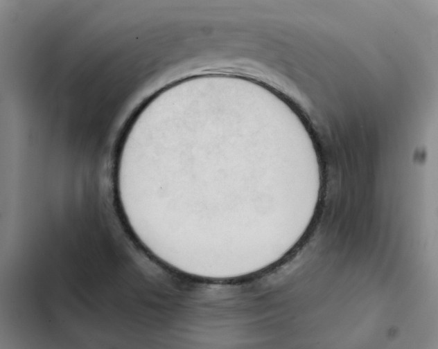 X0000102371506200808291236