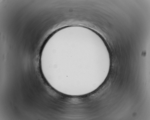 X0000102371507200808291236