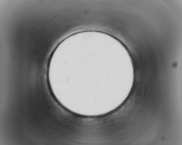 X0000102371508200808291236