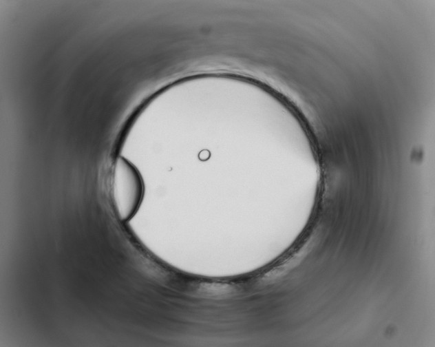 X0000102371509200808291236