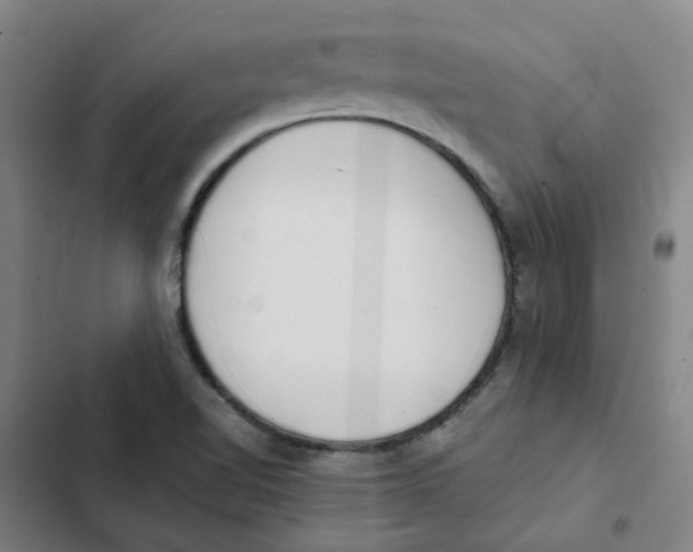 X0000102371510200808291236