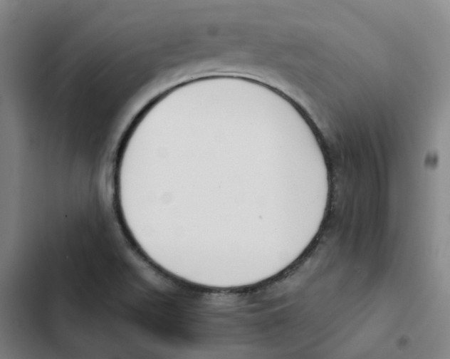 X0000102371511200808291236