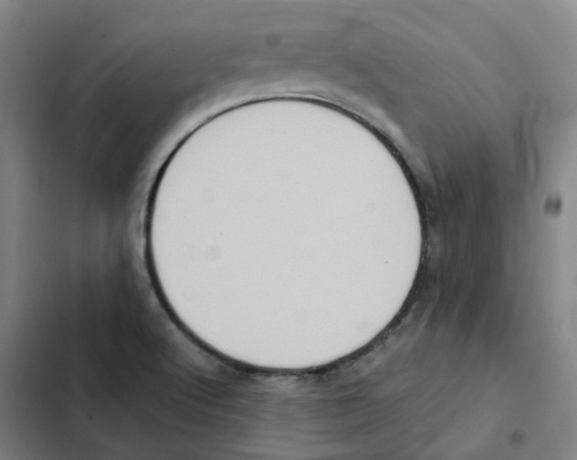 X0000102371512200808291236