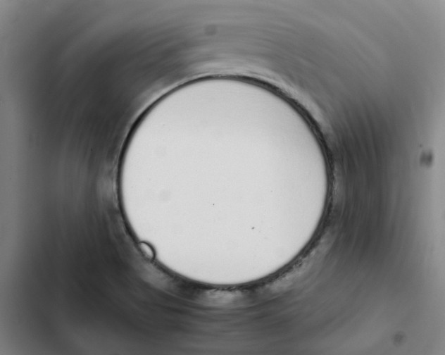 X0000102371513200808291236