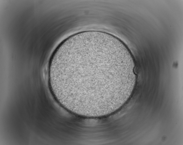 X0000102371515200808291236