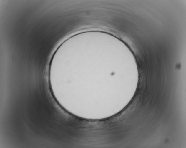 X0000102371516200808291236