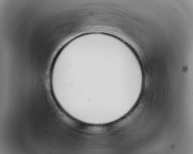 X0000102371517200808291236