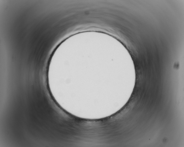 X0000102371518200808291236