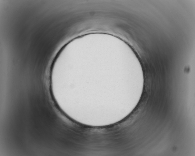 X0000102371519200808291236