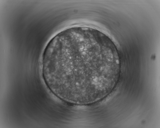 X0000102371522200808291237