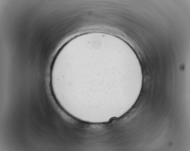 X0000102371523200808291237