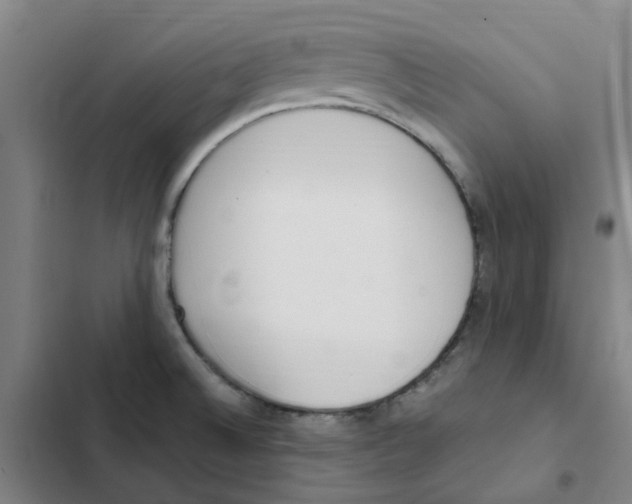 X0000102371524200808291237