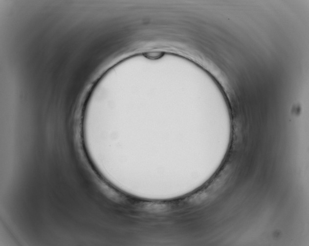 X0000102371525200808291237