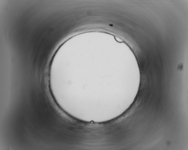 X0000102371526200808291237