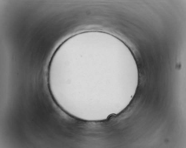 X0000102371527200808291237