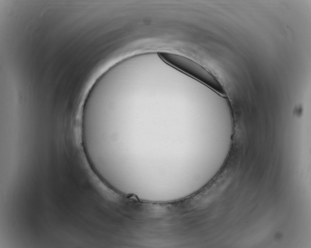 X0000102371528200808291237