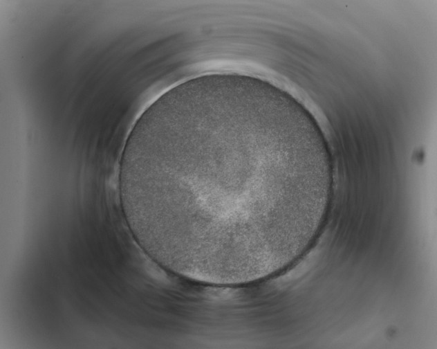 X0000102371529200808291237