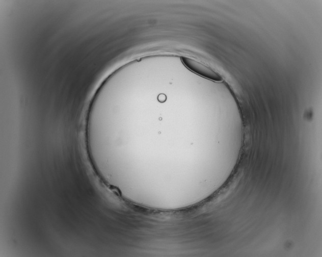 X0000102371530200808291237