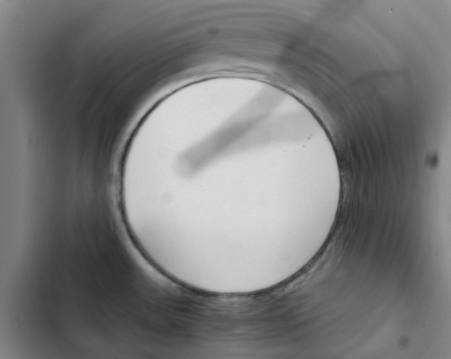 X0000102371531200808291237