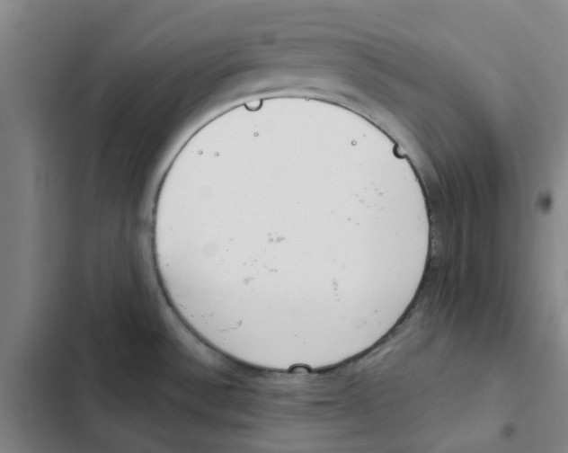 X0000102371532200808291237