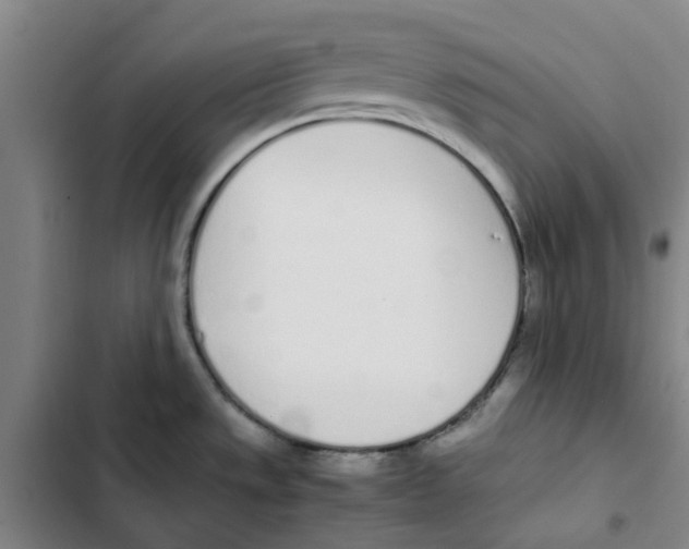 X0000102371533200808291237