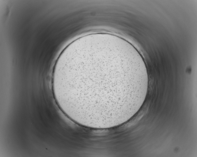 X0000102371535200808291237