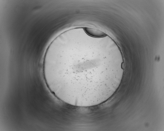 X0000102371536200808291237