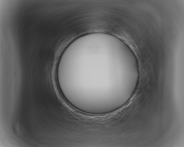 X0000102380001200808010923
