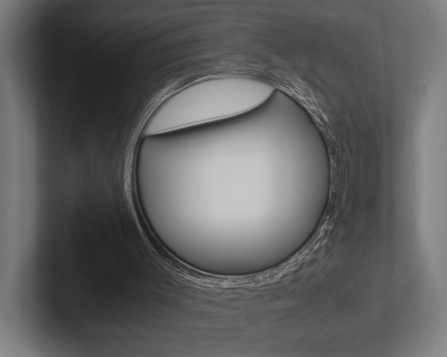 X0000102380003200808010923