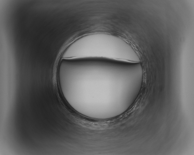 X0000102380004200808010923