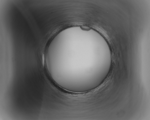 X0000102380013200808010923