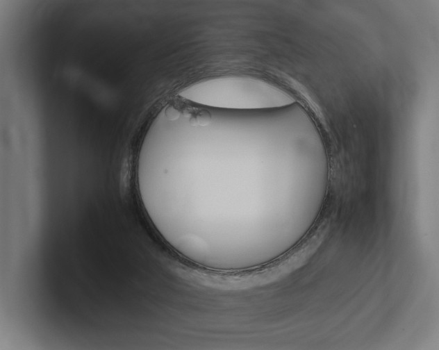 X0000102380018200808010923