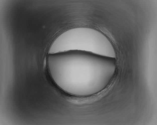 X0000102380021200808010923