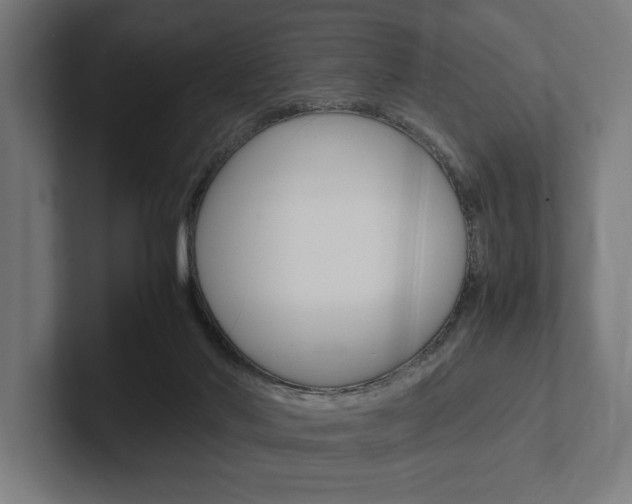 X0000102380022200808010923