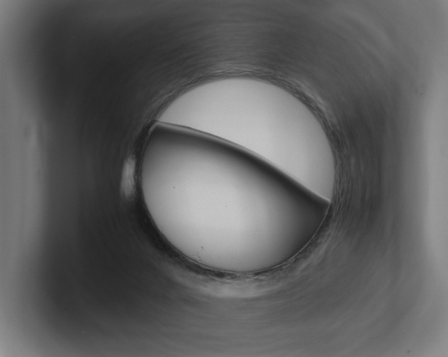 X0000102380024200808010923