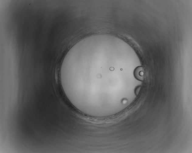 X0000102380026200808010923