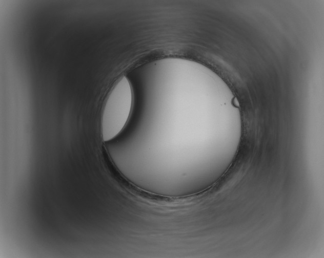 X0000102380028200808010923