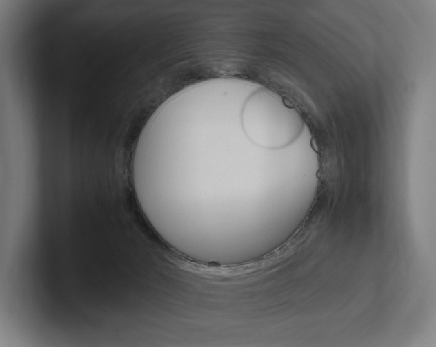 X0000102380030200808010923
