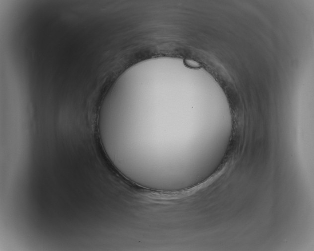 X0000102380033200808010923