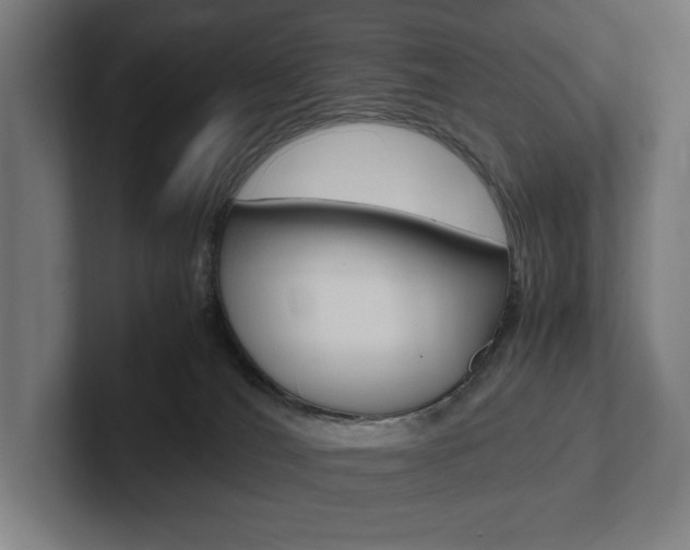 X0000102380036200808010923