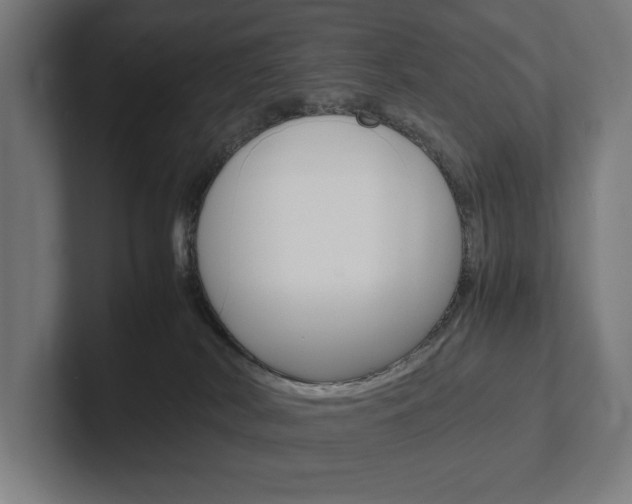 X0000102380038200808010923