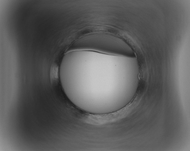 X0000102380041200808010923