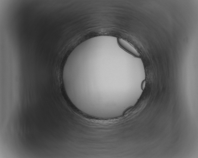 X0000102380044200808010923