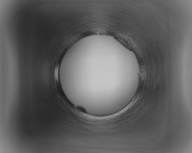 X0000102380047200808010923