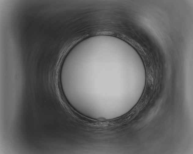 X0000102380049200808010922