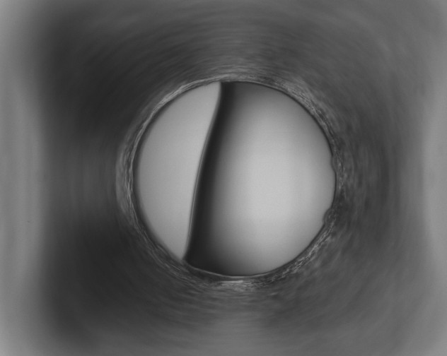 X0000102380050200808010922