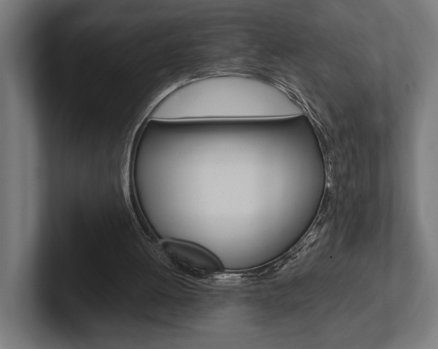 X0000102380052200808010922