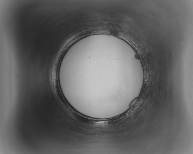 X0000102380053200808010922